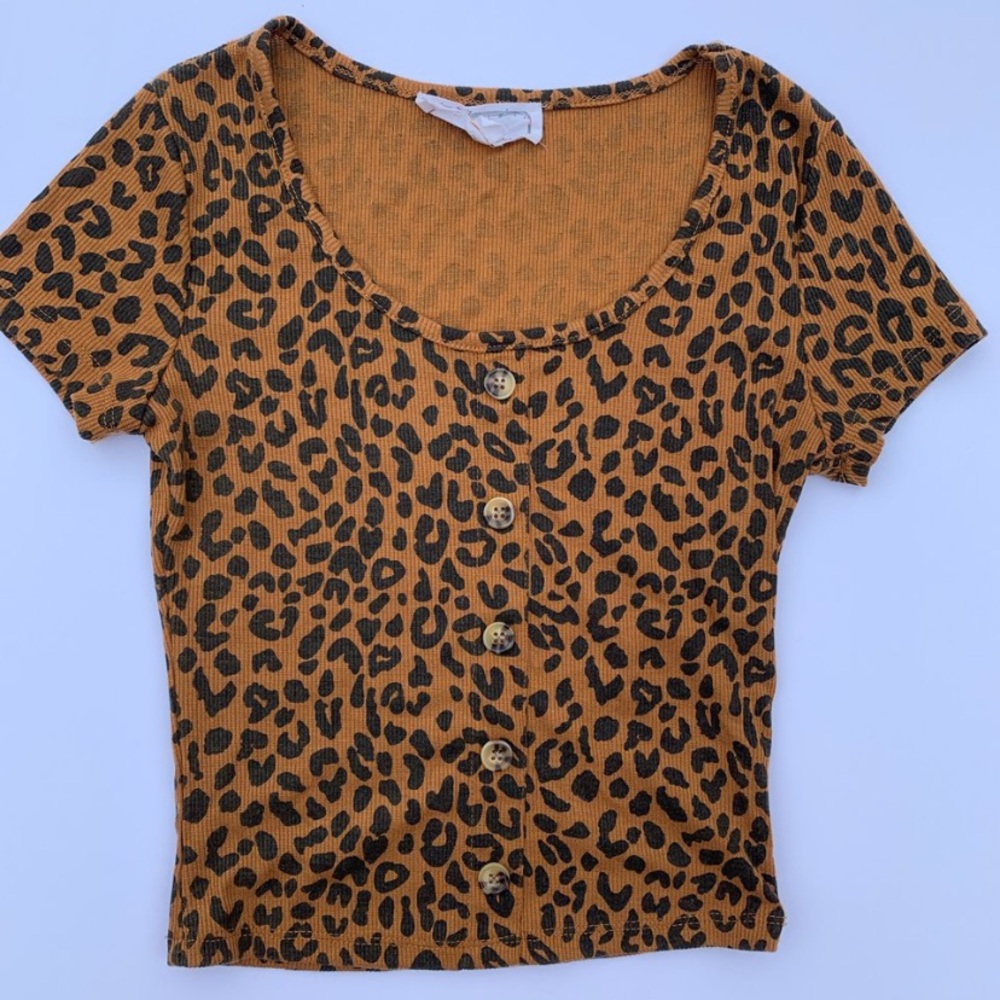 Hippie Rose Animal Print Buttoned Crop Top
